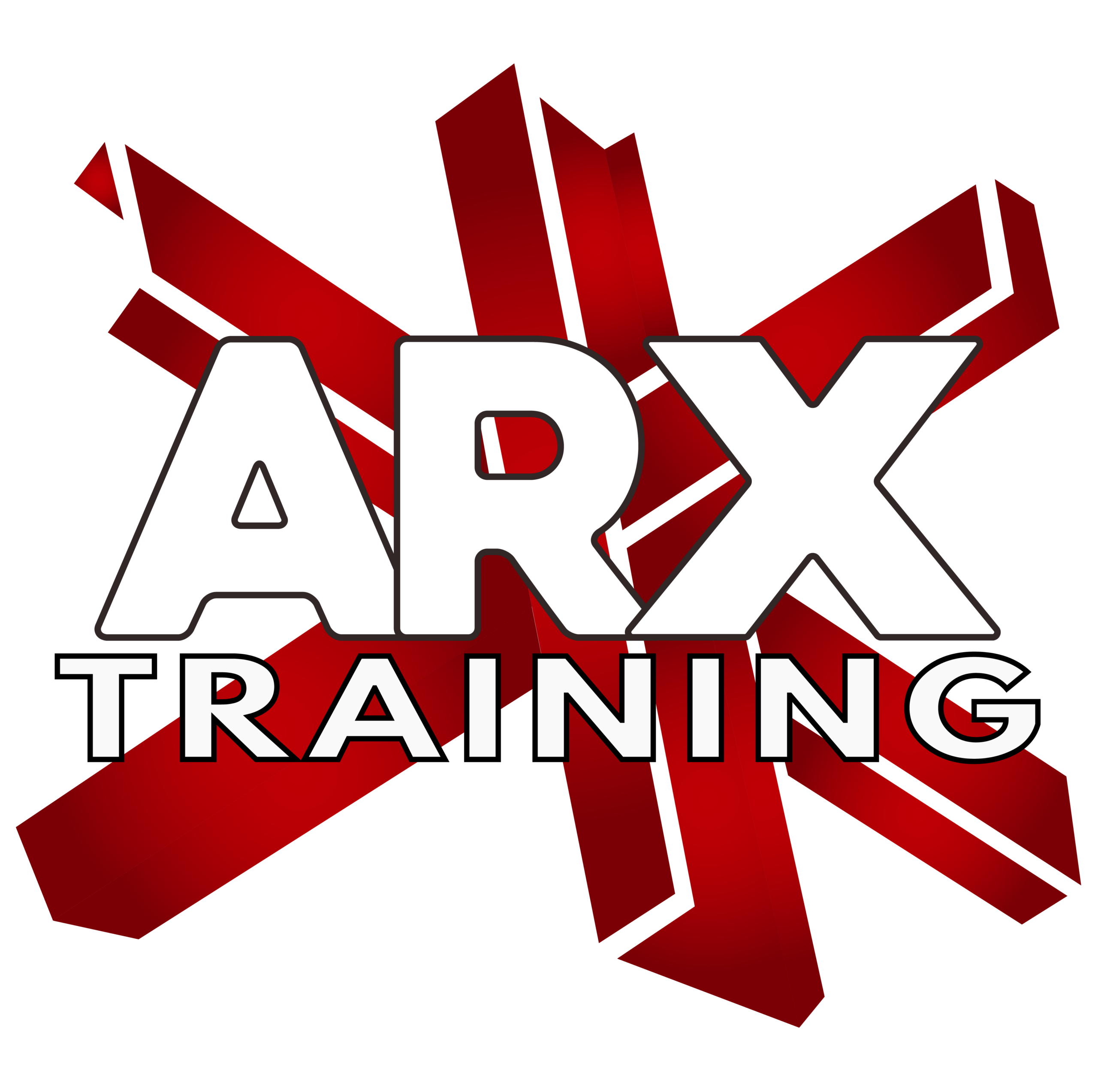 ARX Training